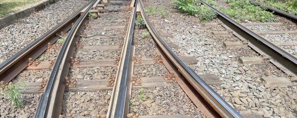 Kosten für Unkrautvernichtung steigen drastisch