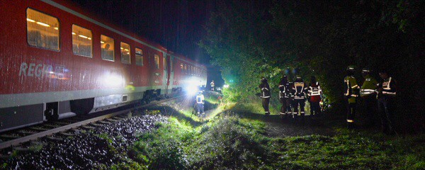 Zug rammt in Bayern umgestürzten Baum