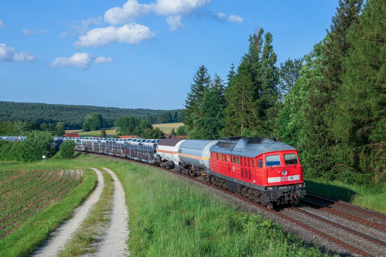 Baureihe 232 der DB Cargo mit Güterzug des Einzelwagenverkehrs bei Pegnitz