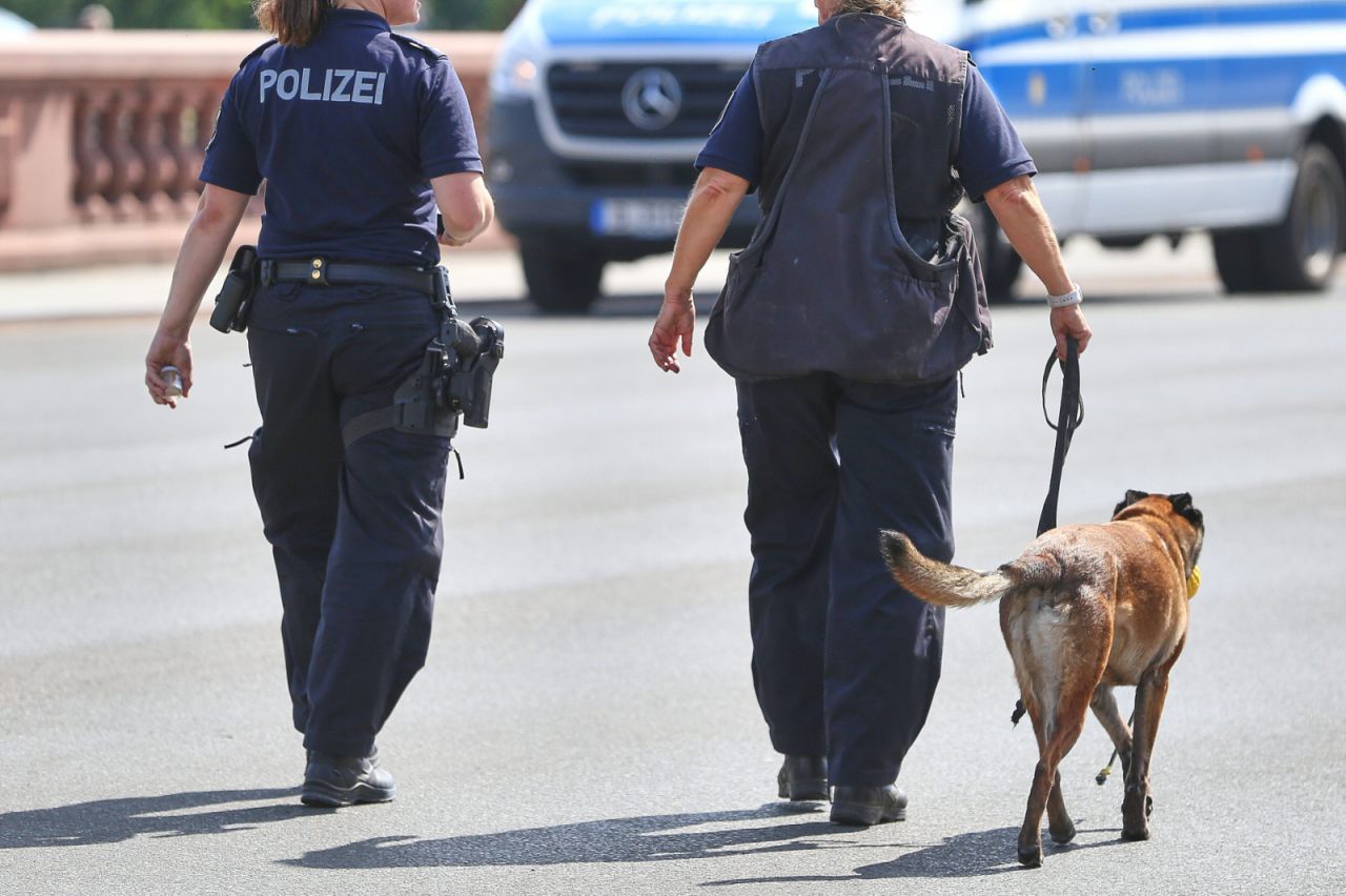Polizeihund
