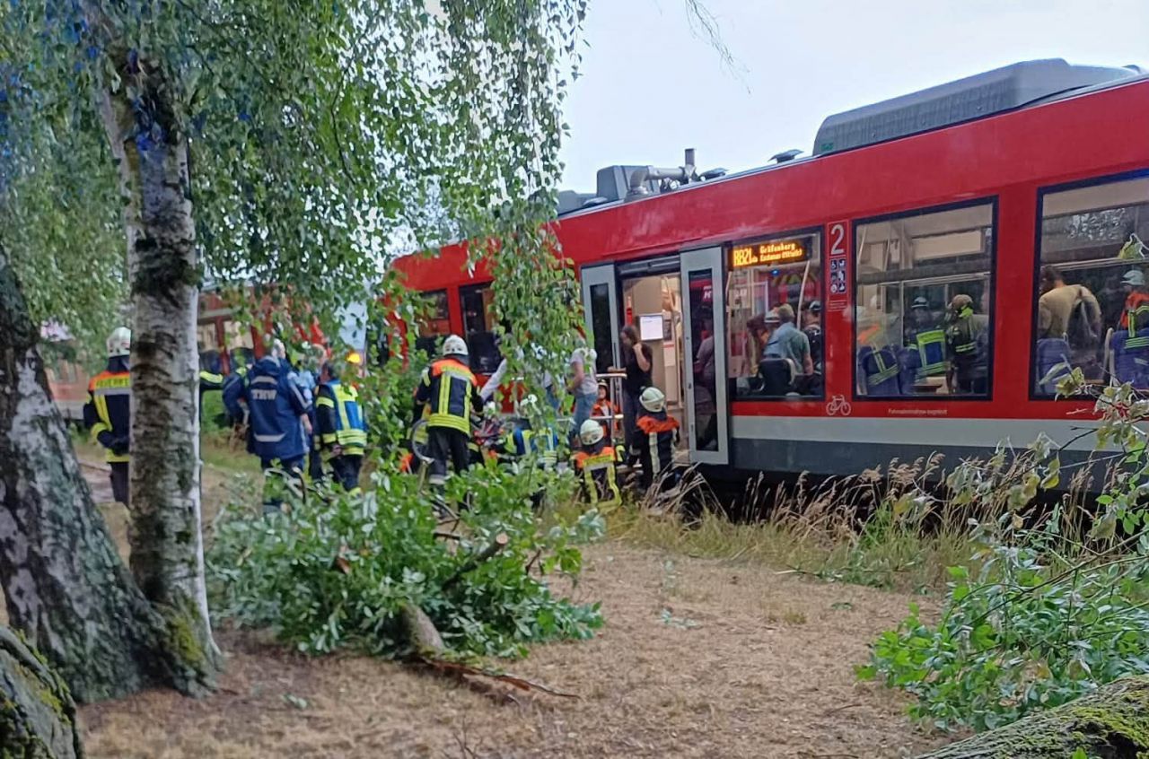 Umgestürzter Baum im Landkreis Erlangen-Höchstadt