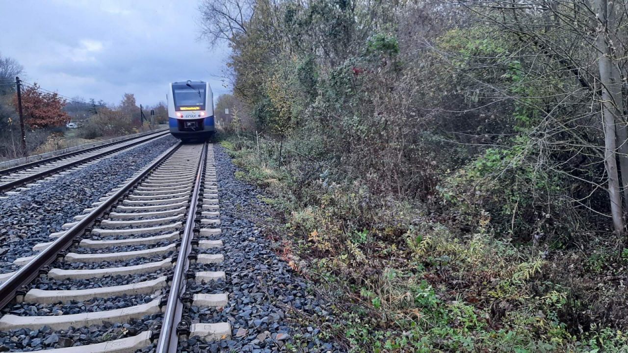 Der stehende Zug und der abgerissene Zaun an der Bahnstrecke