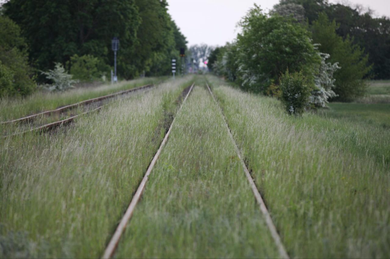Schienen