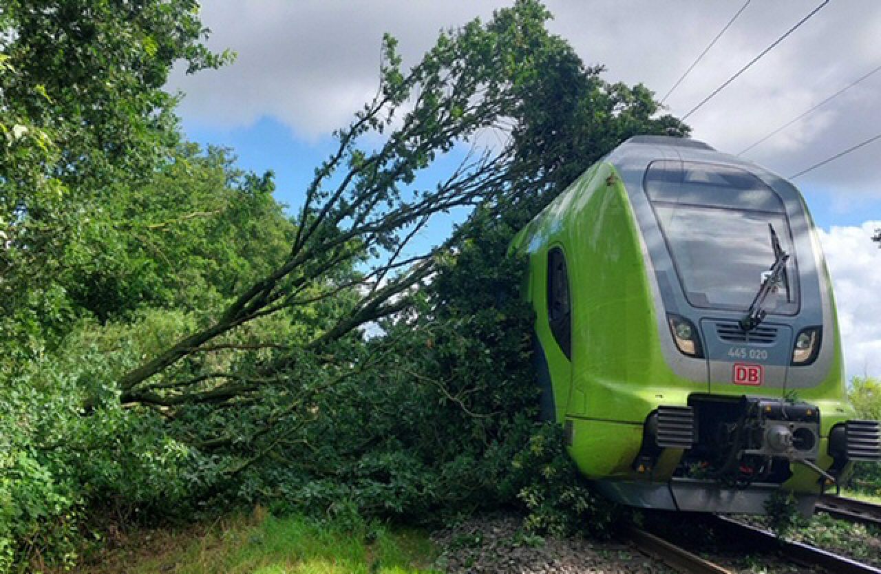 Baum fällt bei Wrist in Schleswig-Holstein auf Oberleitung